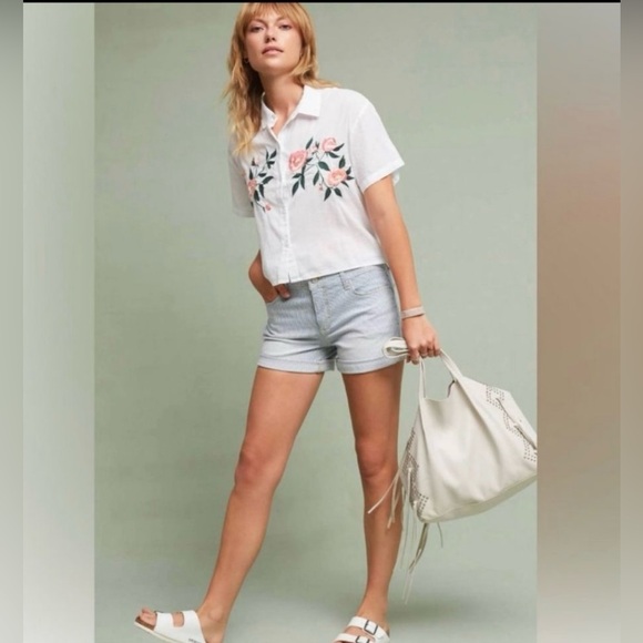 Anthropologie Pilcro and the Letterpress HYPHEN Blue White Stripe Shorts Size 27 - Picture 2 of 13